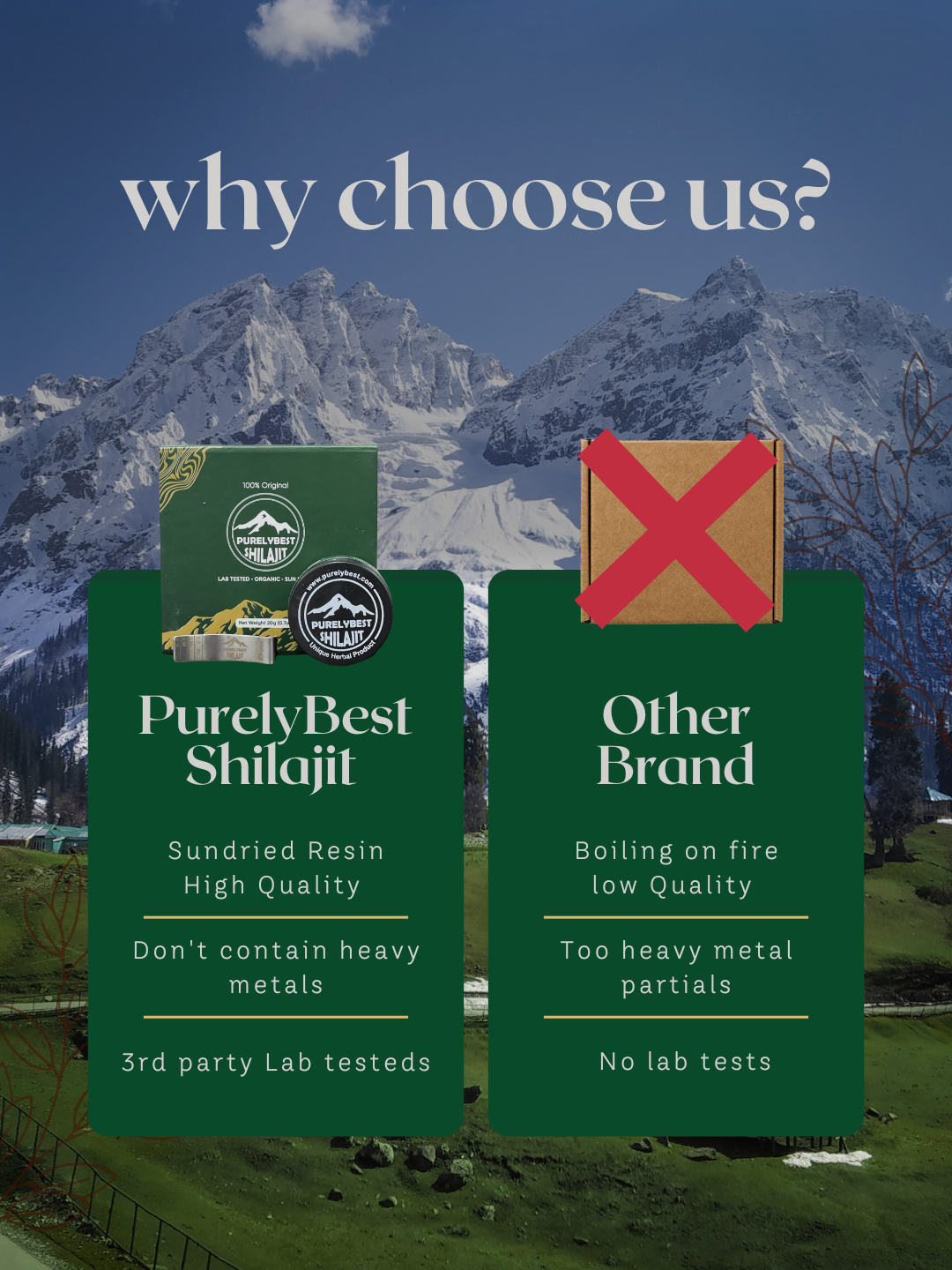 PurelyBest Shilajit