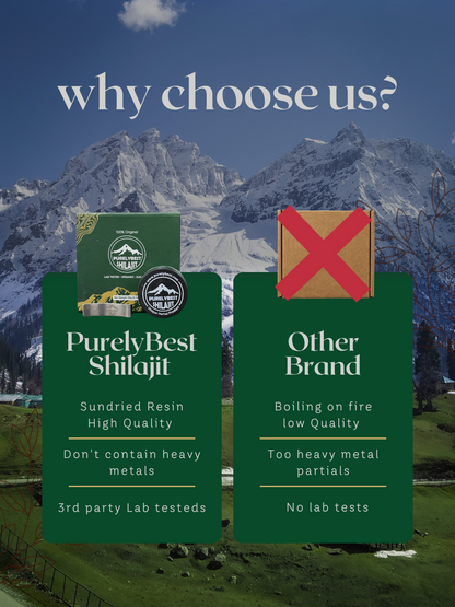PurelyBest Shilajit